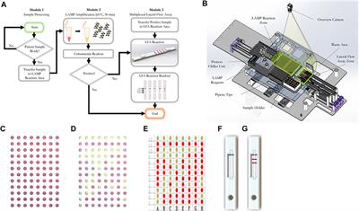 High Sensitivity, Rapid Detection of Virus in High Traffic Environments